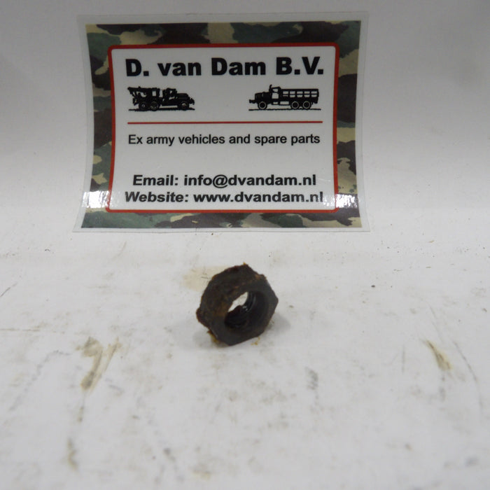 Moer vliegwielbout (NOS)