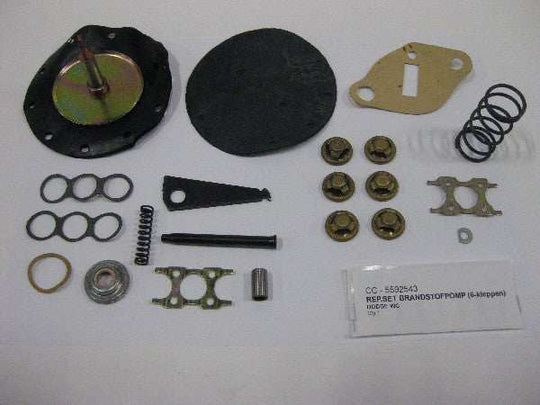 Reparatieset brandstofpomp ( 6-kleppen )