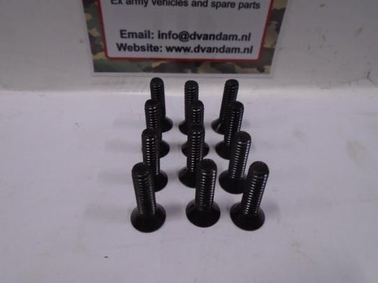 Remtrommel schroef ( 12 stuks )